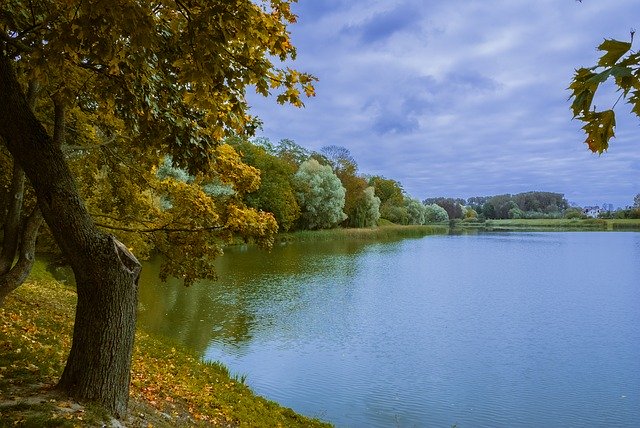 Free picture Autumn Park Nature -  to be edited by GIMP free image editor by OffiDocs