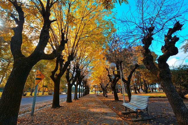 Descărcare gratuită Autumn Plaza Colors - fotografie sau imagini gratuite pentru a fi editate cu editorul de imagini online GIMP