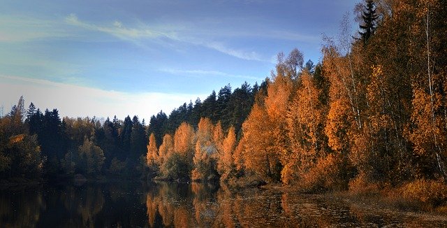 Gratis download Autumn Pond Nature - gratis foto of afbeelding om te bewerken met GIMP online afbeeldingseditor