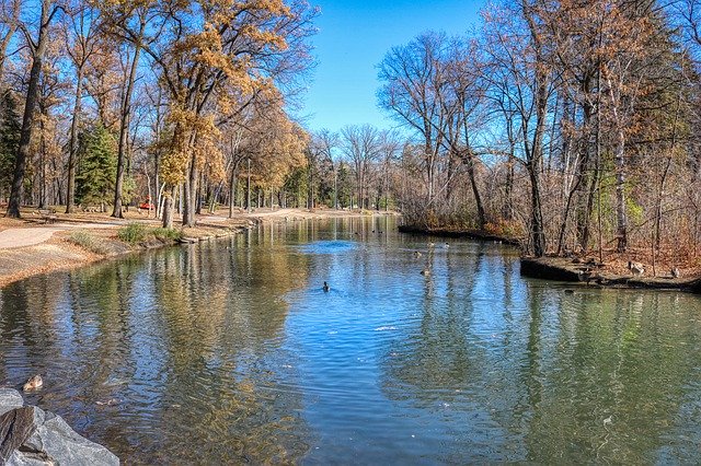 Unduh gratis Autumn Pond Trees - foto atau gambar gratis untuk diedit dengan editor gambar online GIMP