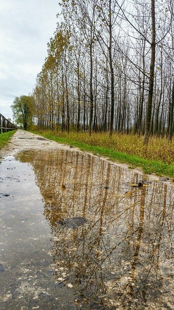 Template Photo Autumn Rain Reflection -  for OffiDocs