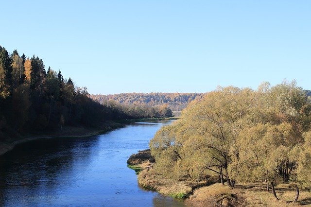 הורדה חינם Autumn River Forest - תמונה או תמונה בחינם לעריכה עם עורך התמונות המקוון GIMP