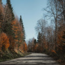 Autumn road and trees  screen for extension Chrome web store in OffiDocs Chromium