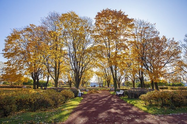 Free download Autumn Russia Petersburg -  free photo or picture to be edited with GIMP online image editor