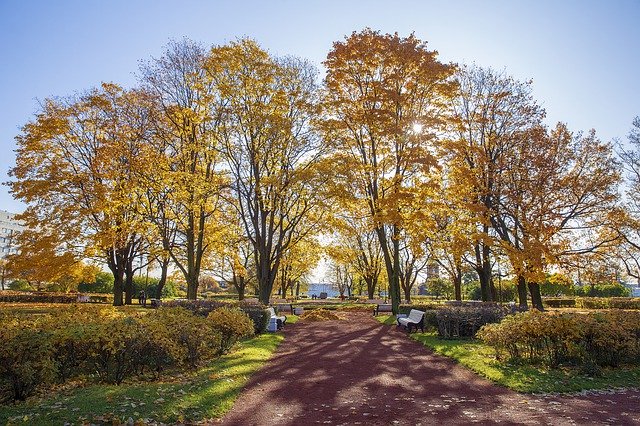 Téléchargement gratuit Automne Russie Saint-Pétersbourg - photo ou image gratuite à modifier avec l'éditeur d'images en ligne GIMP