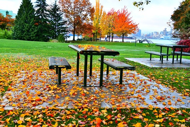 Template Photo Autumn Season Leaves -  for OffiDocs