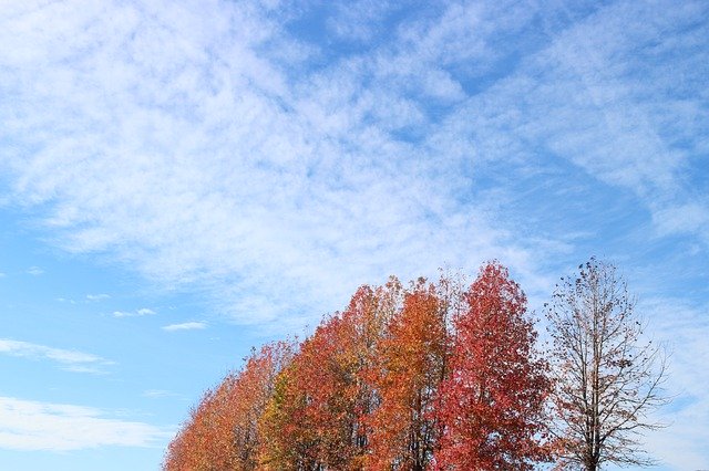 Sonbahar Gökyüzünü ücretsiz indirin - GIMP çevrimiçi resim düzenleyiciyle düzenlenecek ücretsiz fotoğraf veya resim