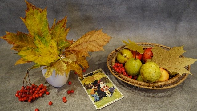 Free download Autumn Still Life With Maple -  free photo or picture to be edited with GIMP online image editor