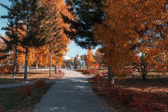 Free download autumn street nature season fall free picture to be edited with GIMP free online image editor