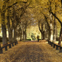 Autumn Stroll Through Park  screen for extension Chrome web store in OffiDocs Chromium