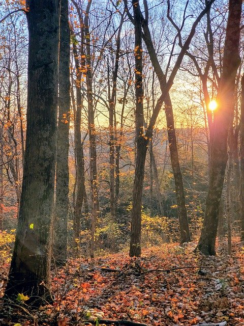 Unduh gratis Autumn Sunrise Landscape - foto atau gambar gratis untuk diedit dengan editor gambar online GIMP