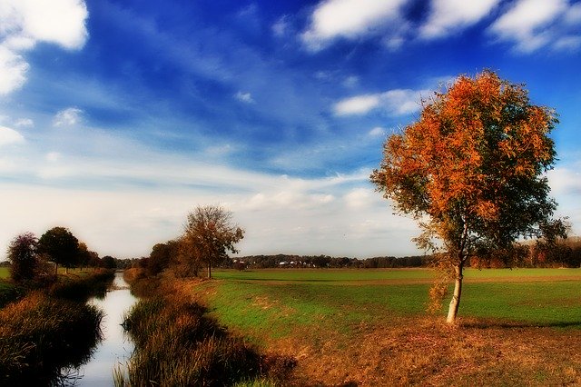 Free download Autumn Tree River -  free photo or picture to be edited with GIMP online image editor