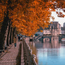 Autumn trees  screen for extension Chrome web store in OffiDocs Chromium