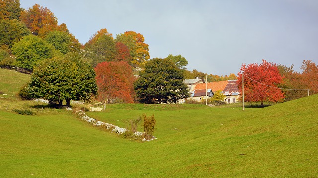 Free download autumn trees lawn borgo homes free picture to be edited with GIMP free online image editor