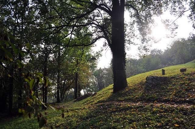 تنزيل Autumn Trees Public Park مجانًا - صورة مجانية أو صورة لتحريرها باستخدام محرر الصور عبر الإنترنت GIMP