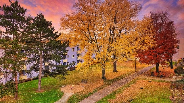 Unduh gratis Autumn Trees Residential Area - foto atau gambar gratis untuk diedit dengan editor gambar online GIMP
