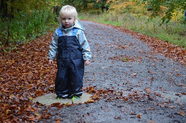 Gratis download Autumn Walk Child - gratis foto of afbeelding om te bewerken met GIMP online afbeeldingseditor