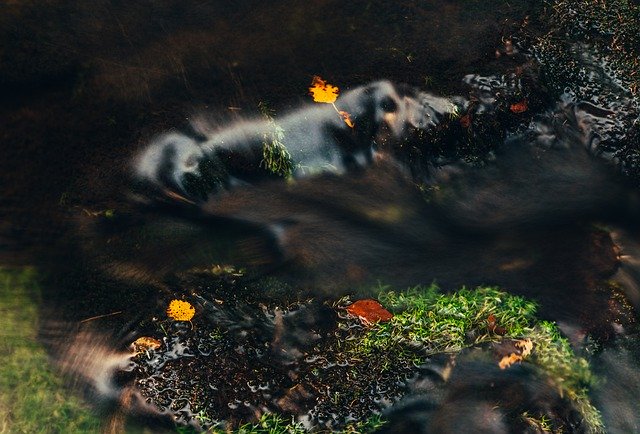 Free download Autumn Water Stream -  free free photo or picture to be edited with GIMP online image editor