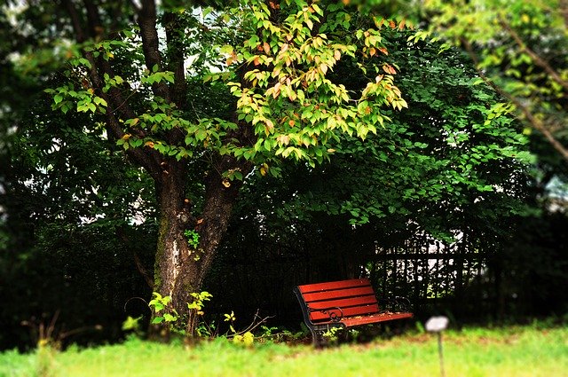 Free download Autumn Wood Chair -  free photo or picture to be edited with GIMP online image editor