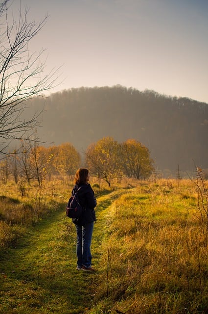 秋の若い女性の自然散歩の無料画像を無料でダウンロードして、GIMPで編集する無料のオンライン画像エディター