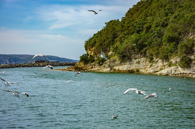 Free download Ağva Marine Nature -  free photo or picture to be edited with GIMP online image editor