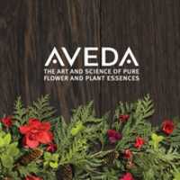 Free download Aveda Holiday 3 free photo or picture to be edited with GIMP online image editor