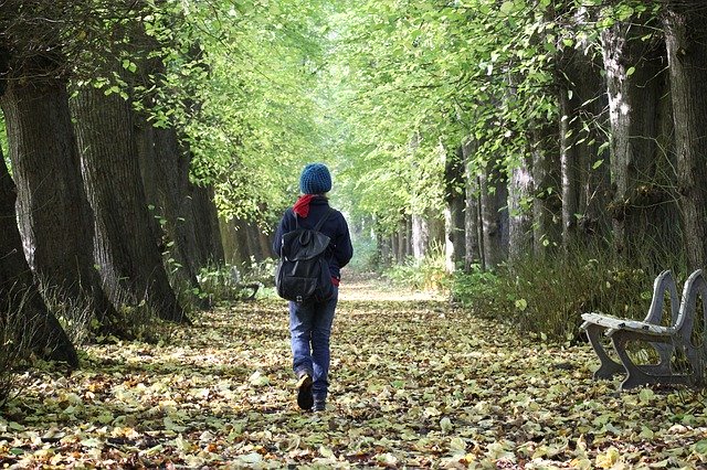 Download grátis Avenue Child Hiking - foto ou imagem gratuita a ser editada com o editor de imagens online do GIMP