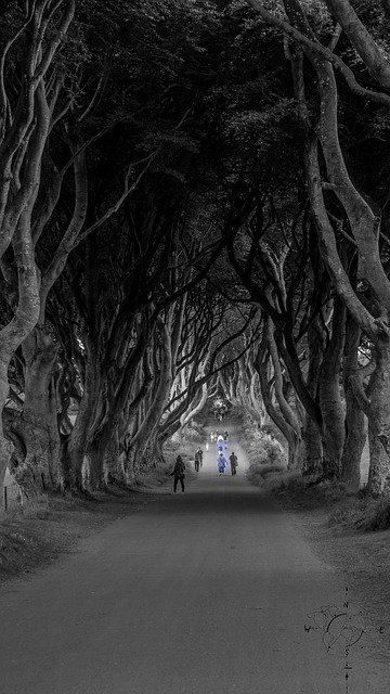 Free picture Avenue Ireland -  to be edited by GIMP free image editor by OffiDocs