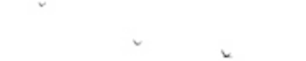 Free download Aves Volando 9hu 7 free photo or picture to be edited with GIMP online image editor