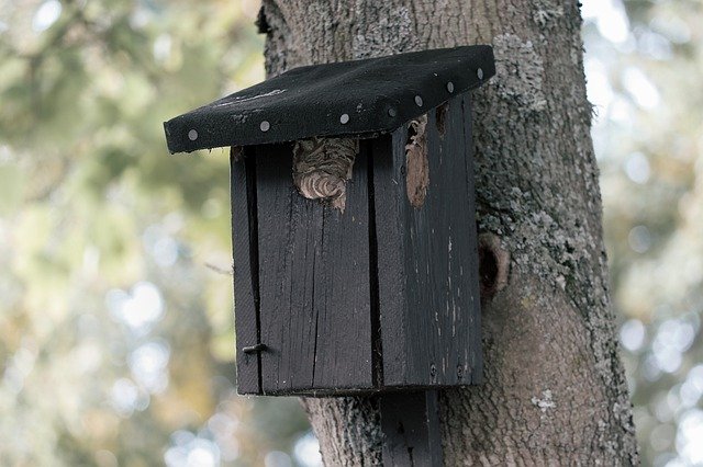 Free download Aviary Nesting Box Nature -  free photo or picture to be edited with GIMP online image editor