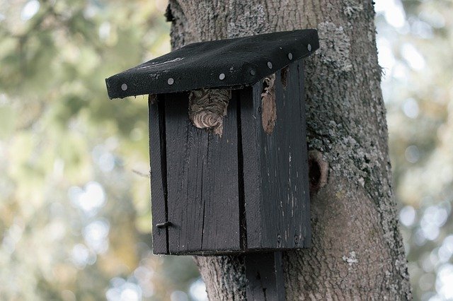 Téléchargement gratuit de Volière Nichoir Nature - photo ou image gratuite à modifier avec l'éditeur d'images en ligne GIMP