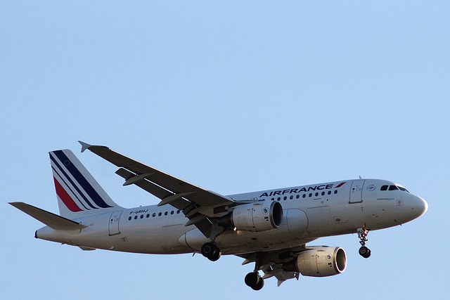 Free download aviation aircraft trips a319 111 af free picture to be edited with GIMP free online image editor