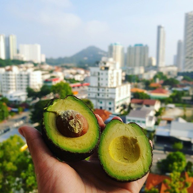 Скачать бесплатно Avocado Avo Arvo - бесплатное фото или изображение для редактирования с помощью онлайн-редактора изображений GIMP