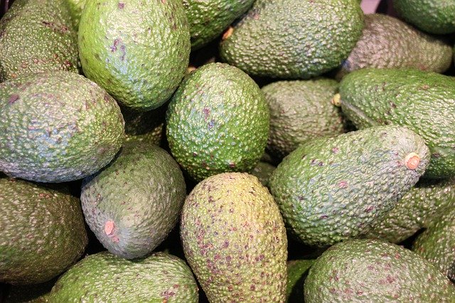 Free download Avocado Avocados Green -  free photo or picture to be edited with GIMP online image editor