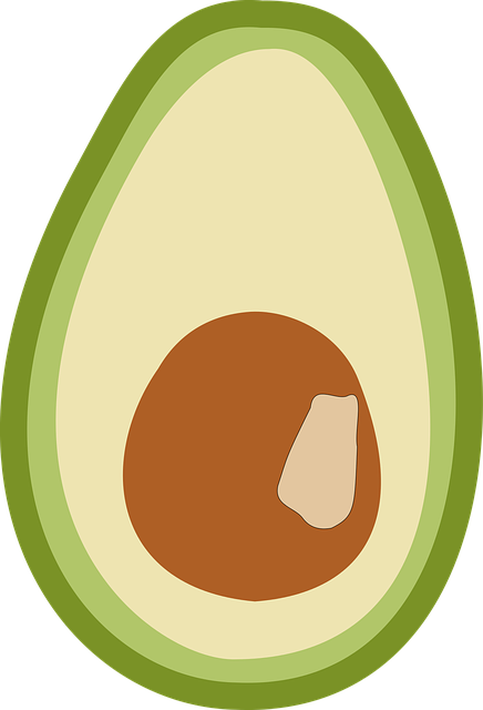 قم بتنزيل Avocado Fruit Vegetables South مجانًا رسوم متجهية على رسم توضيحي مجاني لـ Pixabay ليتم تحريره باستخدام محرر صور GIMP عبر الإنترنت