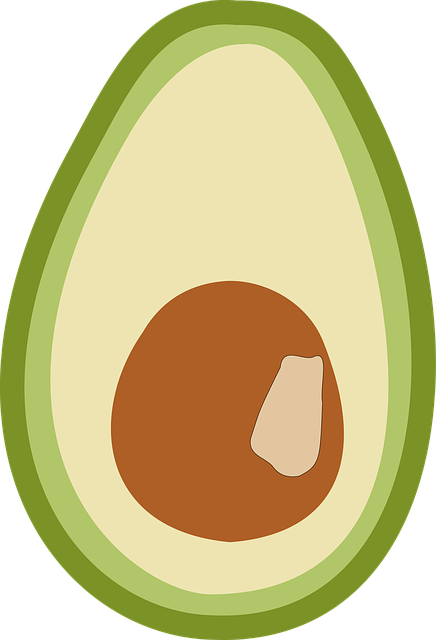 Free download Avocado Fruit Vegetables SouthFree vector graphic on Pixabay free illustration to be edited with GIMP online image editor