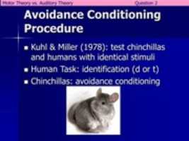 Free download avoidance-conditioning-procedure-n free photo or picture to be edited with GIMP online image editor