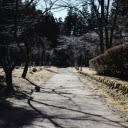 A Walkway at a Park in Nikko, Japan  screen for extension Chrome web store in OffiDocs Chromium