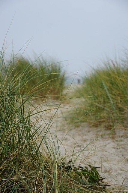 Free download Away Beach Landscape -  free photo or picture to be edited with GIMP online image editor