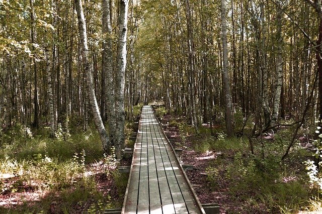 Muat turun percuma Away Bridge Boardwalk - foto atau gambar percuma untuk diedit dengan editor imej dalam talian GIMP