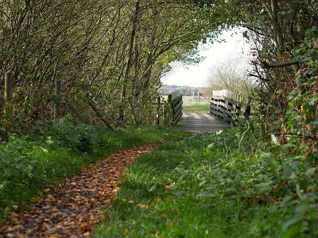 Безкоштовно завантажте Away Bridge Passage – безкоштовну безкоштовну фотографію чи зображення для редагування за допомогою онлайн-редактора зображень GIMP