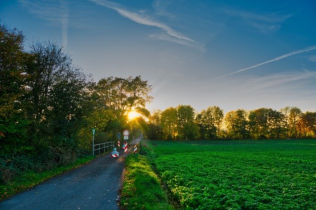 Téléchargement gratuit Away Cycle Path Walk - photo ou image gratuite à modifier avec l'éditeur d'images en ligne GIMP