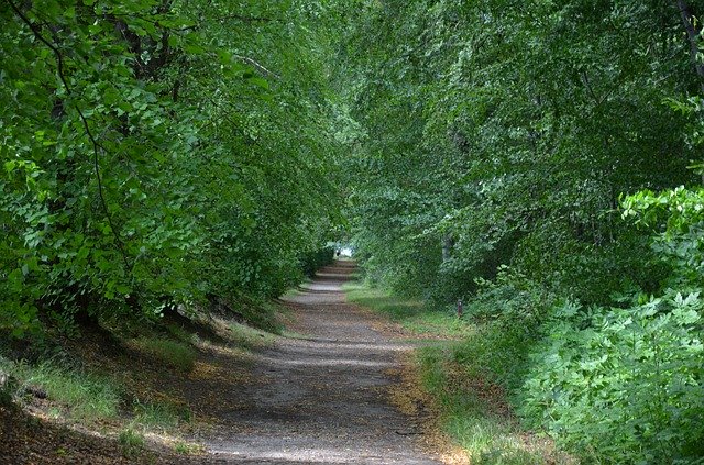 Téléchargement gratuit Away Denmark Nature - photo ou image gratuite à modifier avec l'éditeur d'images en ligne GIMP