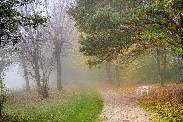 Unduh gratis Away Fog Morning - foto atau gambar gratis untuk diedit dengan editor gambar online GIMP