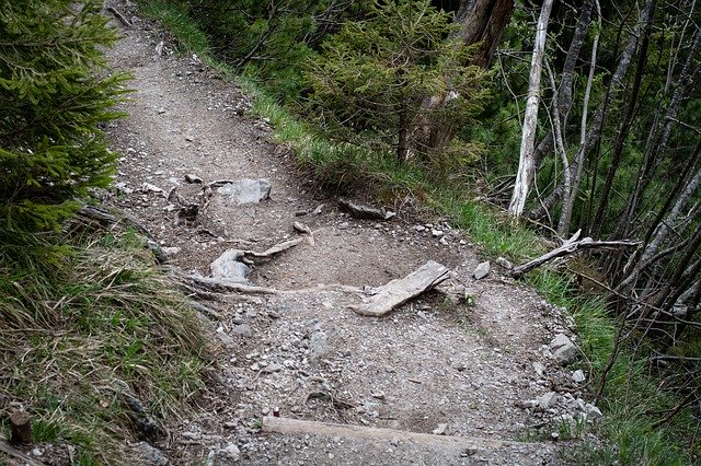 Téléchargement gratuit de Away Forest Path - photo ou image gratuite à modifier avec l'éditeur d'images en ligne GIMP