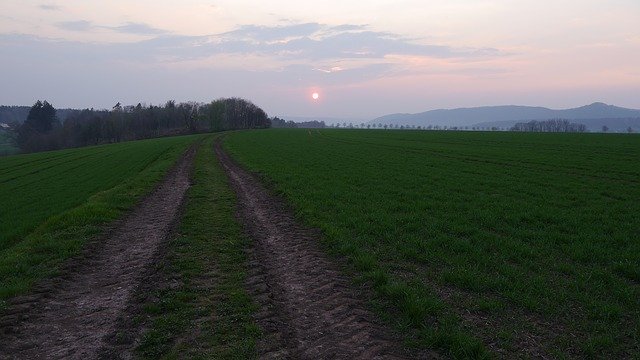 הורדה חינם Away Grass Sunset - תמונה או תמונה בחינם לעריכה עם עורך התמונות המקוון GIMP