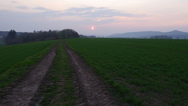 Скачать бесплатно Away Grass Sunset - бесплатное фото или изображение для редактирования с помощью онлайн-редактора изображений GIMP