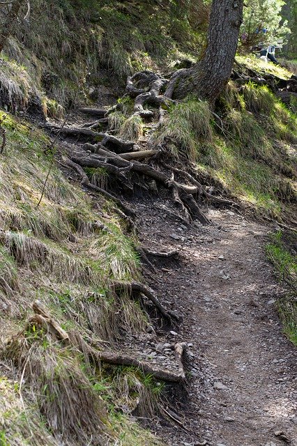 Free download Away Path Trail Forest -  free photo or picture to be edited with GIMP online image editor