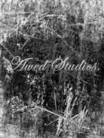 Free download awedstudios free photo or picture to be edited with GIMP online image editor