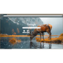 A wild deer standing gracefully  screen for extension Chrome web store in OffiDocs Chromium